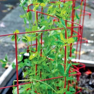 Expandable Pea Fence Thumbnail